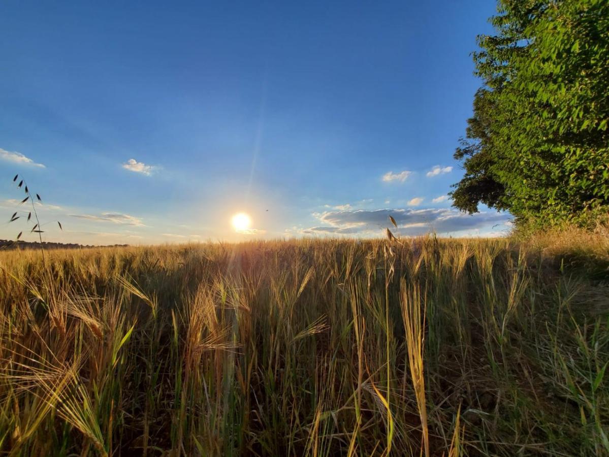 Bed and Breakfast A Little Peace And Quiet Wahlwiller Екстер'єр фото