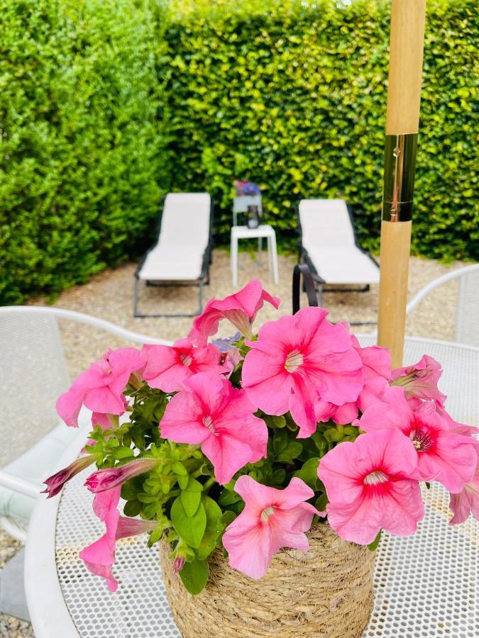 Bed and Breakfast A Little Peace And Quiet Wahlwiller Екстер'єр фото